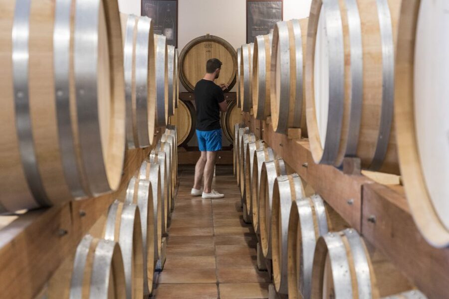 Avignon: Full-Day Châteauneuf du Pape Wines & Luberon Tour - Gordes finishes the day on a high hill