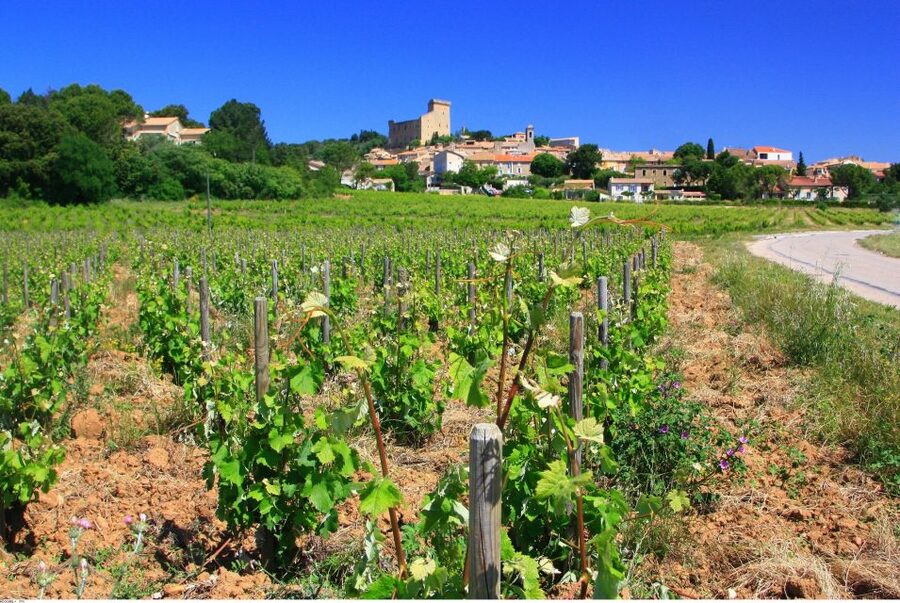 Avignon: Full-Day Wine Tour around Châteauneuf-du-Pape - Why Châteauneuf-du-Pape Makes a Good Base
