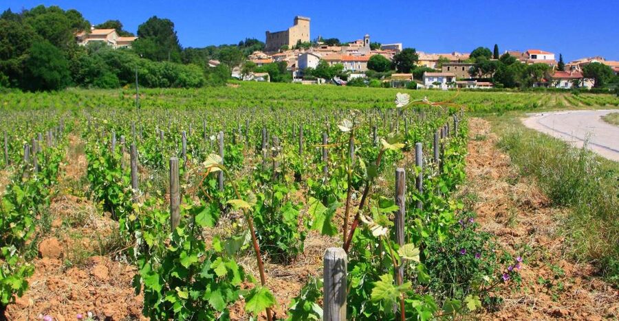 Avignon: Full-Day Wine Tour around Châteauneuf-du-Pape - Guides Who Make the Difference