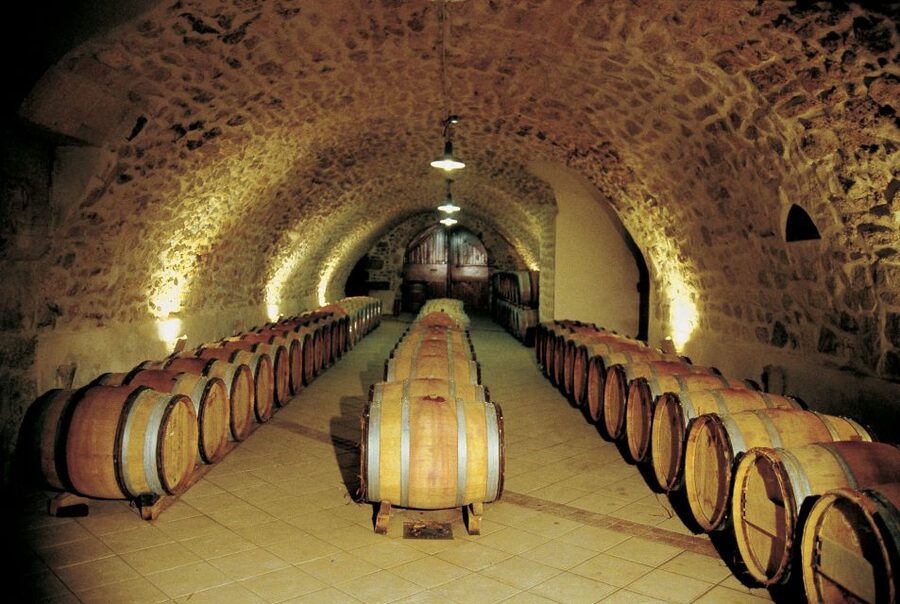 Avignon: Full-Day Wine Tour around Châteauneuf-du-Pape - Who Should Book This Day Trip?