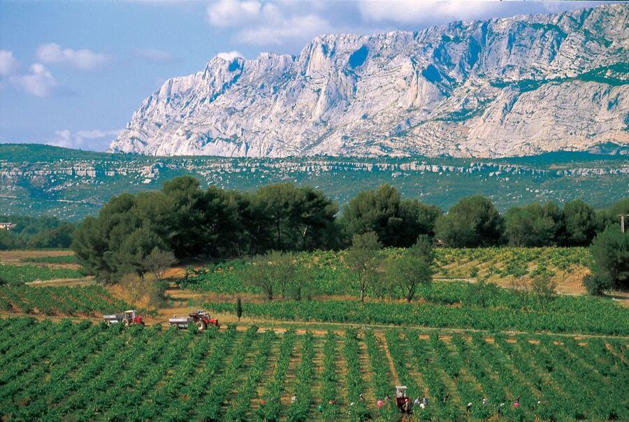 Avignon: Full-Day Wine Tour around Châteauneuf-du-Pape - What Happens at the Wineries