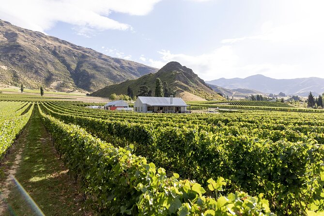 Award Winning Premium Wine Tour Queenstown Tasting at 4 Wineries - Kinross: The Social Middle of the Day
