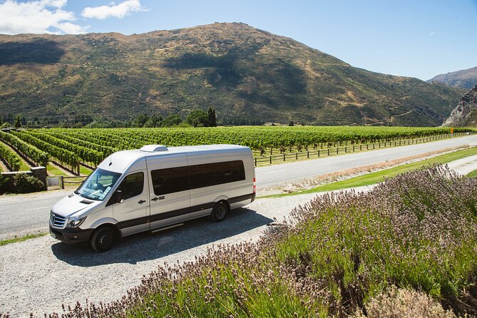 Award Winning Premium Wine Tour Queenstown Tasting at 4 Wineries - What the Guides Add to the Day