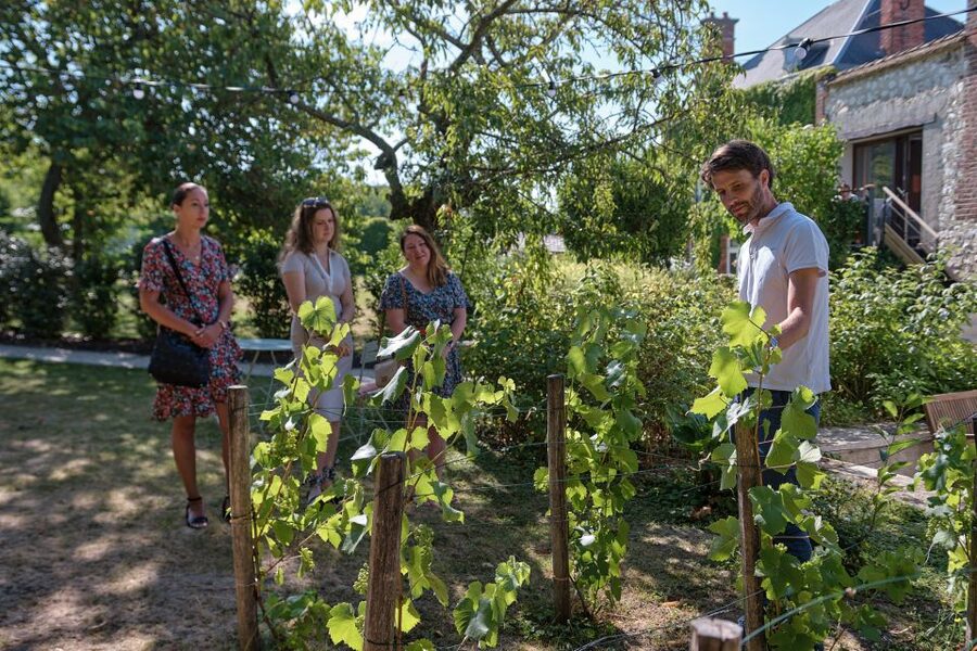 Aÿ-Champagne: Champagne House Tour and Tasting Class - Three family Champagnes and local snacks