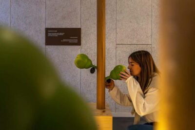 Aÿ-Champagne: Pressoria Champagne Museum with Tasting
