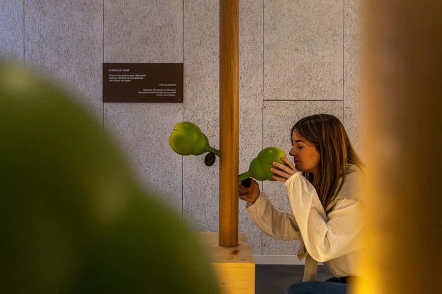Aÿ-Champagne: Pressoria Champagne Museum with Tasting - Why Aÿ-Champagne gives the museum meaning