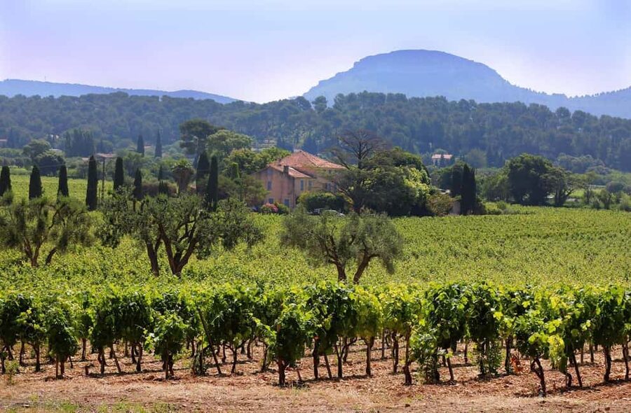Bandol and Cassis: Full Day Wine Tour from Marseille - Why Cassis makes the first stop special