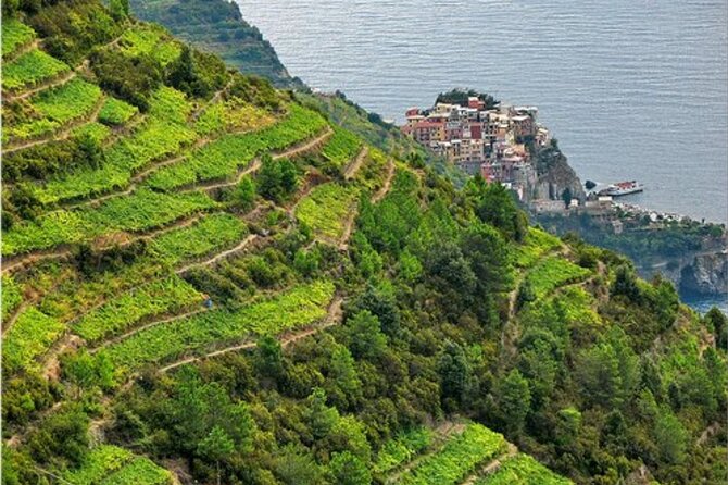 BarCa Winery Cinqueterre Trekking & Wine Tasting & Pesto Class - Inside the BarCa cellar