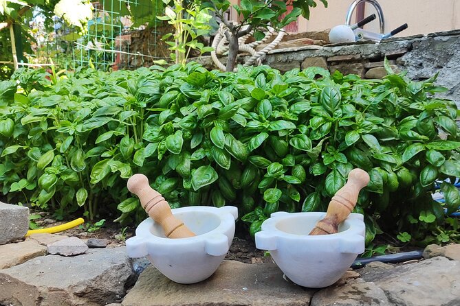 BarCa Winery Cinqueterre Trekking & Wine Tasting & Pesto Class - Group size, privacy, and the pace of the visit