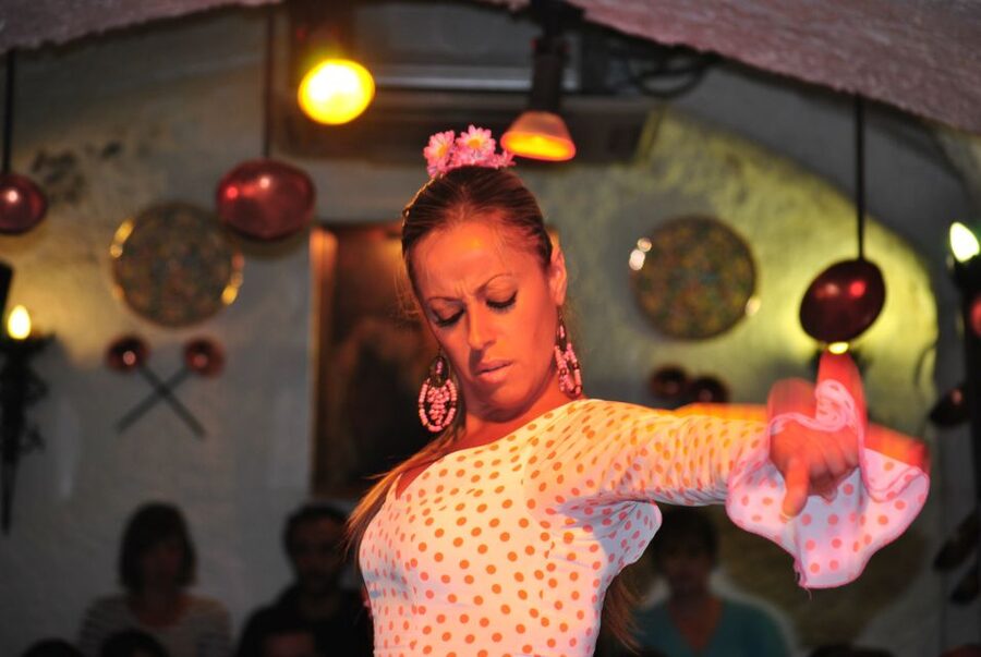 Barcelona: City Tour & Flamenco Show with Wine & Tapas - Who should book this Barcelona evening