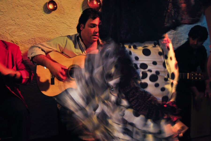 Barcelona: City Tour & Flamenco Show with Wine & Tapas - Pace, language, and group comfort
