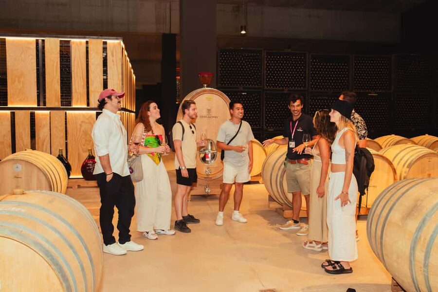 Barcelona: Full-Day Montserrat & Wine Small Group Tour - The five details that shape your day