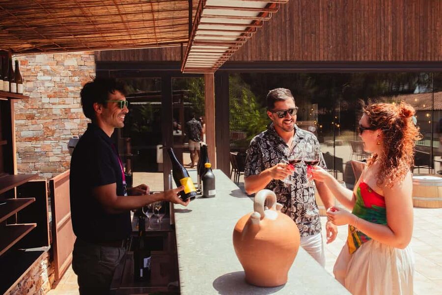 Barcelona: Full-Day Montserrat & Wine Small Group Tour - Making the most of your free time
