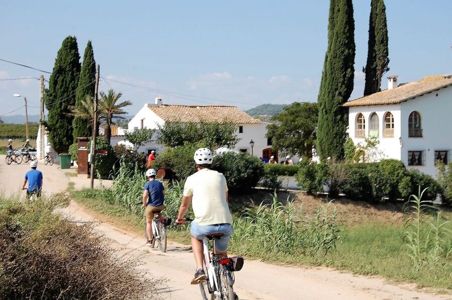 Barcelona: Guided Half-Day Wine and Electric Bike Tour - Should You Book the Penedès E-Bike Tour?