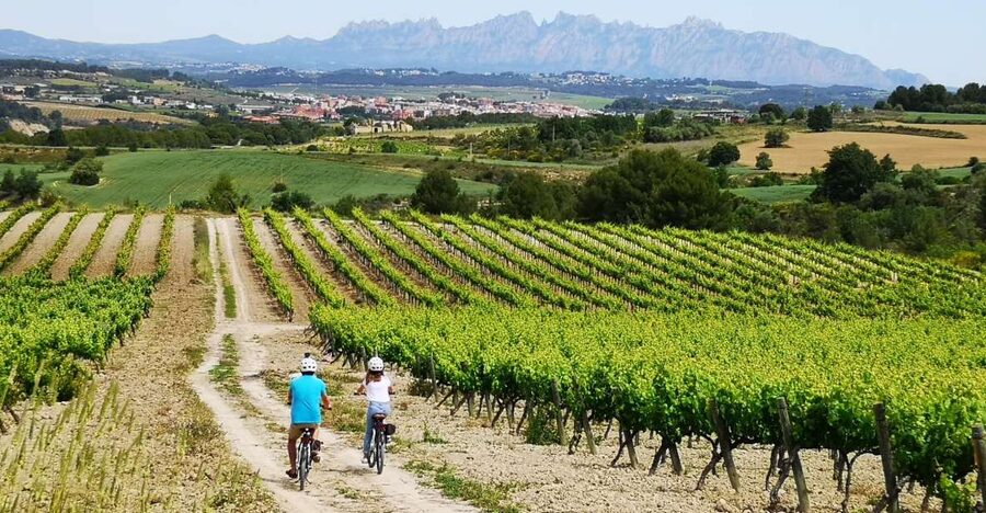 Barcelona: Guided Half-Day Wine and Electric Bike Tour - Riding Through Vineyards, Woods, and Rural Catalonia