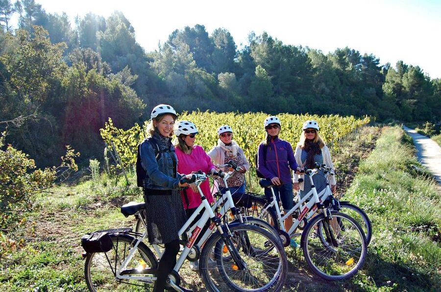 Barcelona: Guided Half-Day Wine and Electric Bike Tour - Inside a Family-Owned Ecological Winery