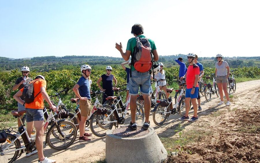 Barcelona: Guided Half-Day Wine and Electric Bike Tour - Who Will Enjoy This Tour Most?