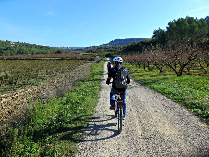 Barcelona: Guided Half-Day Wine and Electric Bike Tour - Practical Details to Know Before Booking