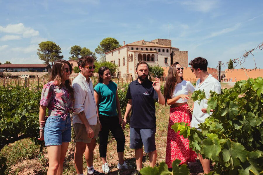 Barcelona: Montserrat with Winery, Lunch, and Train Options - Group size, walking, and practical comfort