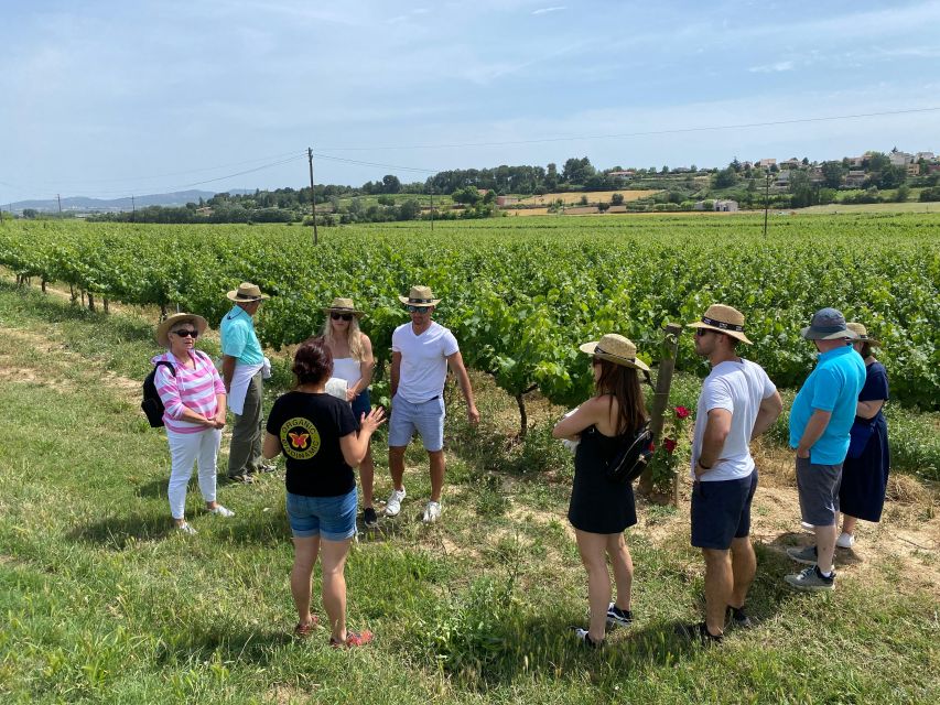 Barcelona: Montserrat with Winery Visit and Farmhouse Lunch - Lunch in the Penedès vineyards