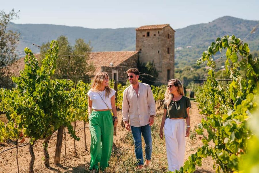 Barcelona: Sailing Cruise & Vineyard Tour with Wine Tasting - Should you book the Barcelona sailing and wine tour?