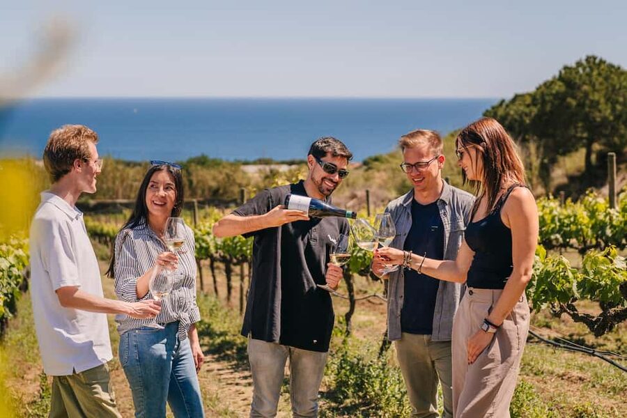 Barcelona: Sailing Cruise & Vineyard Tour with Wine Tasting - Why this Barcelona outing works so well