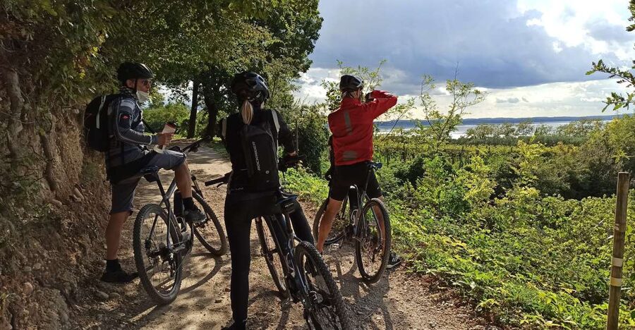 Bardolino: e-bike tour and wine tasting on the hills - Five things to know before you book