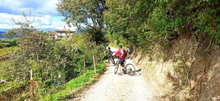 Bardolino: e-bike tour and wine tasting on the hills - Cavaion Veronese and the quieter country roads