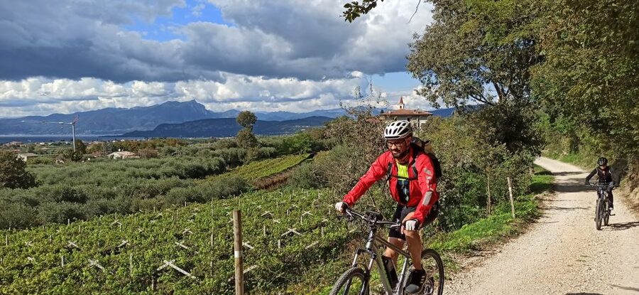 Bardolino: e-bike tour and wine tasting on the hills - Who will enjoy this ride most