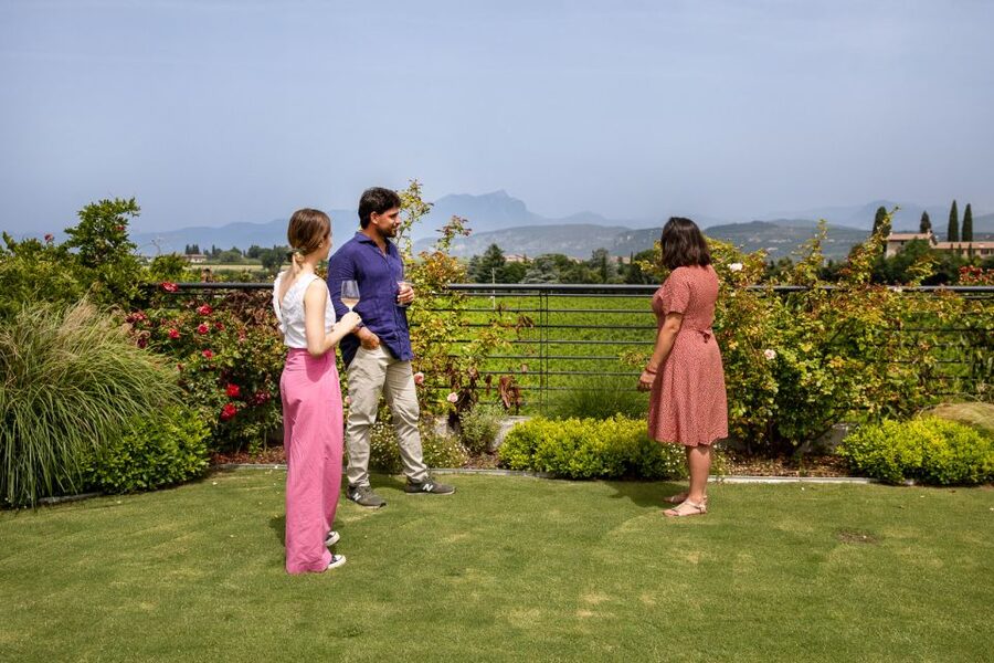 Bardolino: Vineyard Tour with Wine and Food Tasting - Why this Bardolino tour is worth your time