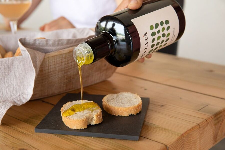 Bardolino: Vineyard Tour with Wine and Food Tasting - The barrel room and wine-aging story