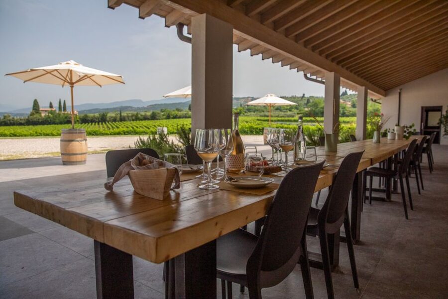 Bardolino: Vineyard Tour with Wine and Food Tasting - Four wines with Monte Veronese and local meats