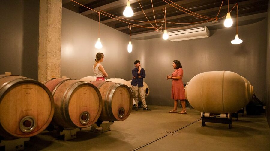Bardolino: Vineyard Tour with Wine and Food Tasting - The guides make the difference