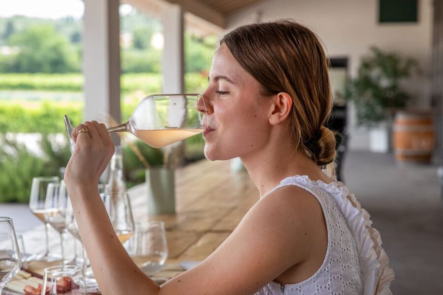 Bardolino: Vineyard Tour with Wine and Food Tasting - Getting there from Lake Garda