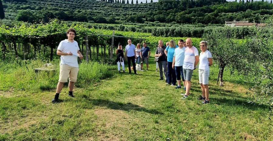 Bardolino: Vineyard Tour with Wine, Olive Oil & Food Tasting - Key points to know before you go