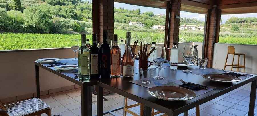 Bardolino: Vineyard Tour with Wine, Olive Oil & Food Tasting - Why this Bardolino visit feels personal