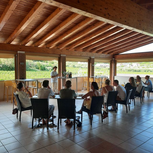 Bardolino: Vineyard Tour with Wine, Olive Oil & Food Tasting - The vineyard walk and Bardolino DOC