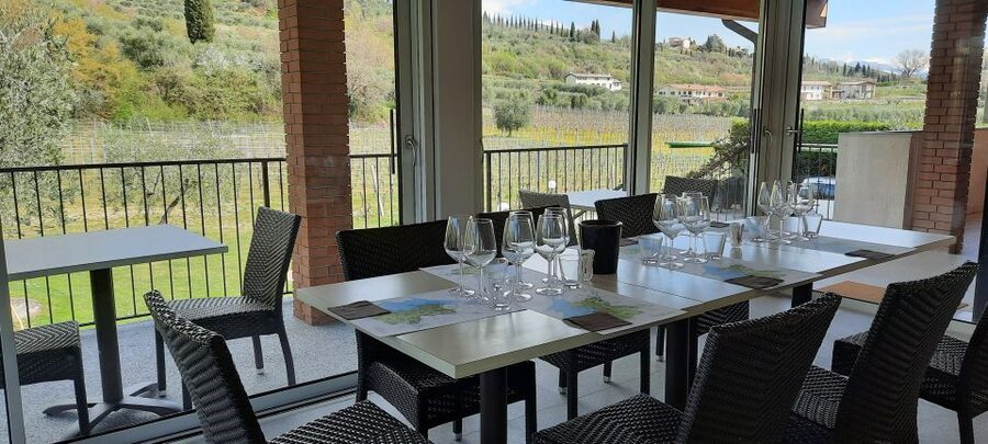 Bardolino: Vineyard Tour with Wine, Olive Oil & Food Tasting - Olive oil, cured meats, and local cheese