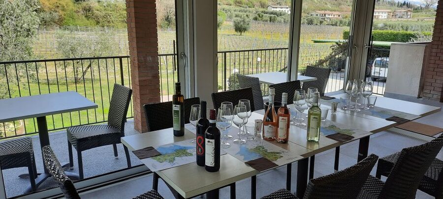 Bardolino: Vineyard Tour with Wine, Olive Oil & Food Tasting - Should you book the Bardolino vineyard tour?