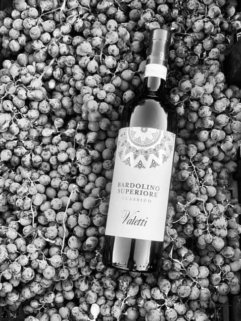 Bardolino: Wine tasting at Cantina Valetti - What happens during the one-hour visit