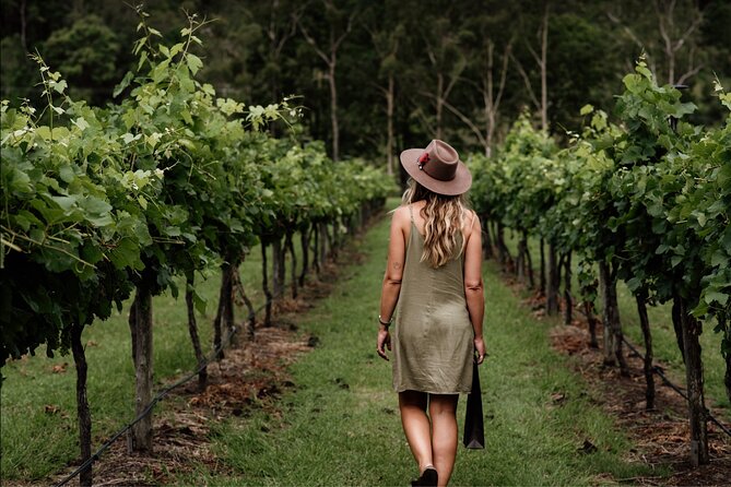 Barefoot Luxury Mount Tamborine Winery Tour from Brisbane - Key points before you book
