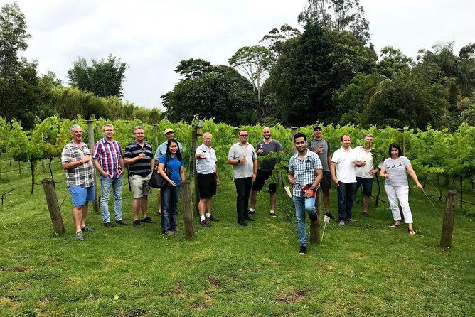 Barefoot Luxury Mount Tamborine Winery Tour from Brisbane - Why Mount Tamborine makes a good day trip