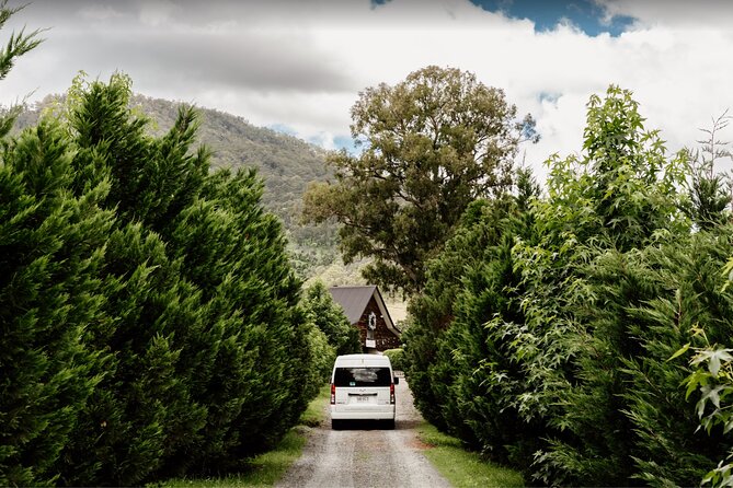 Barefoot Luxury Mount Tamborine Winery Tour from Brisbane - Witches Falls and the first wine tasting