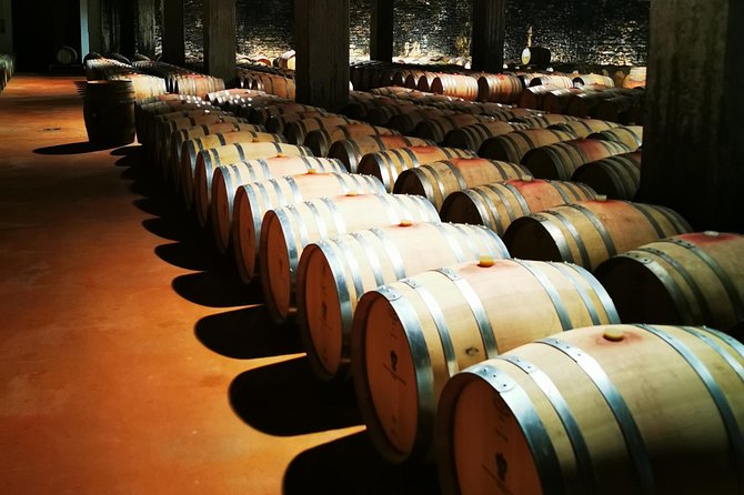 Barolo&Barbaresco Wine Experience with a local winemaker - Why a winemaker makes a difference
