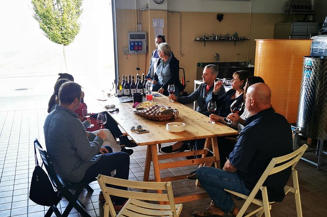 Barolo&Barbaresco Wine Experience with a local winemaker - Castagnole Lanze and the work of the vine