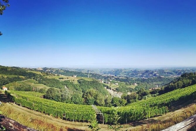 Barolo&Barbaresco Wine Experience with a Local Winemaker / Milano - Key points to know before booking
