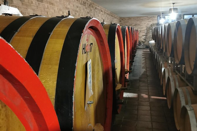 Barolo&Barbaresco Wine Experience with a local winemaker - Barolo: the first look at the wine country
