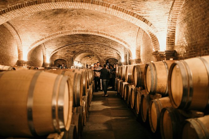 Barolo & Barbaresco Wine Tour with a Sommelier - The Barolo village stop