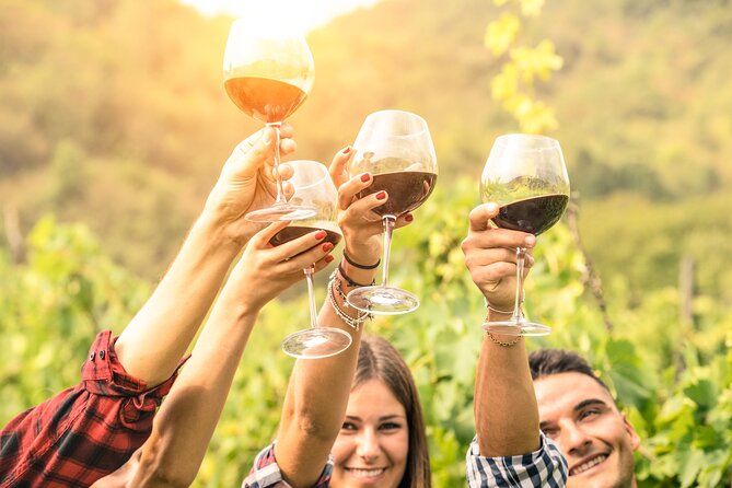 Barossa and Hahndorf Wine Tasting and Sightseeing Tour - Key Things to Know Before You Book