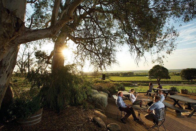 Barossa Valley Hop-On Hop-Off Wine Tour - The biggest weakness: pickup discipline